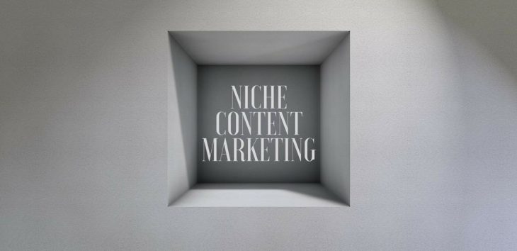 niche content marketing