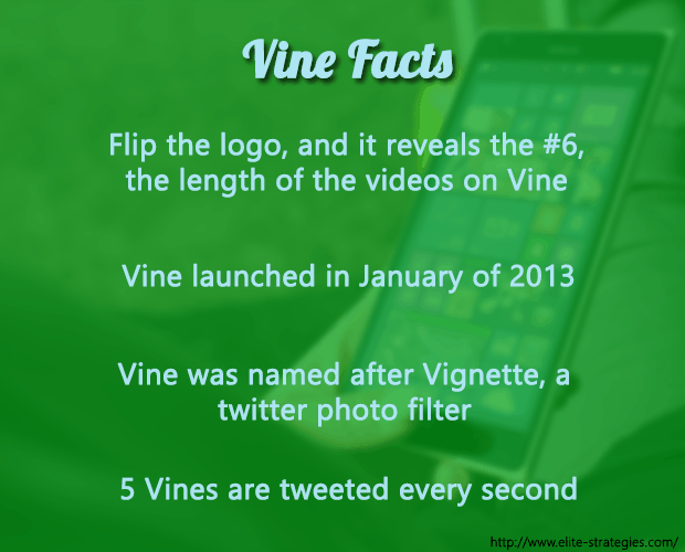 vine1